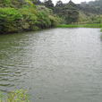三清福地