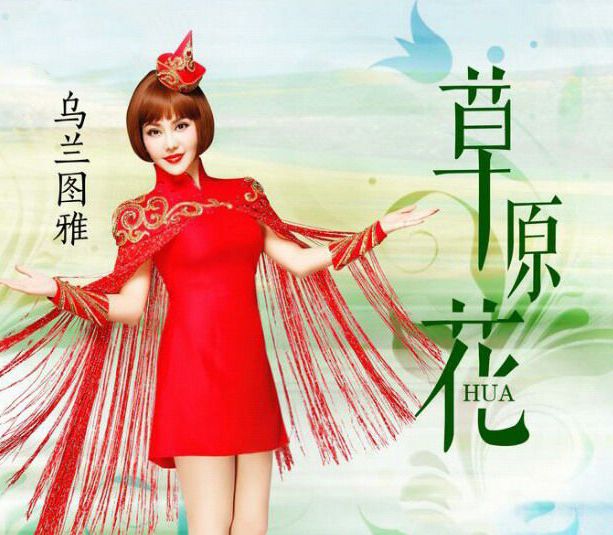 草原花 草原花