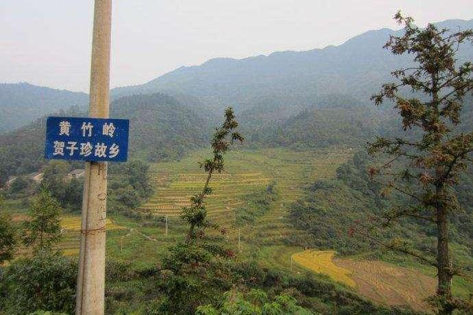 黃竹嶺景區 黃竹嶺景區