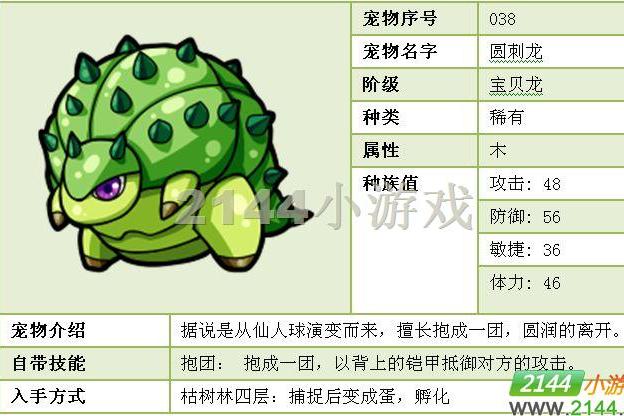 圓刺龍 圓刺龍
