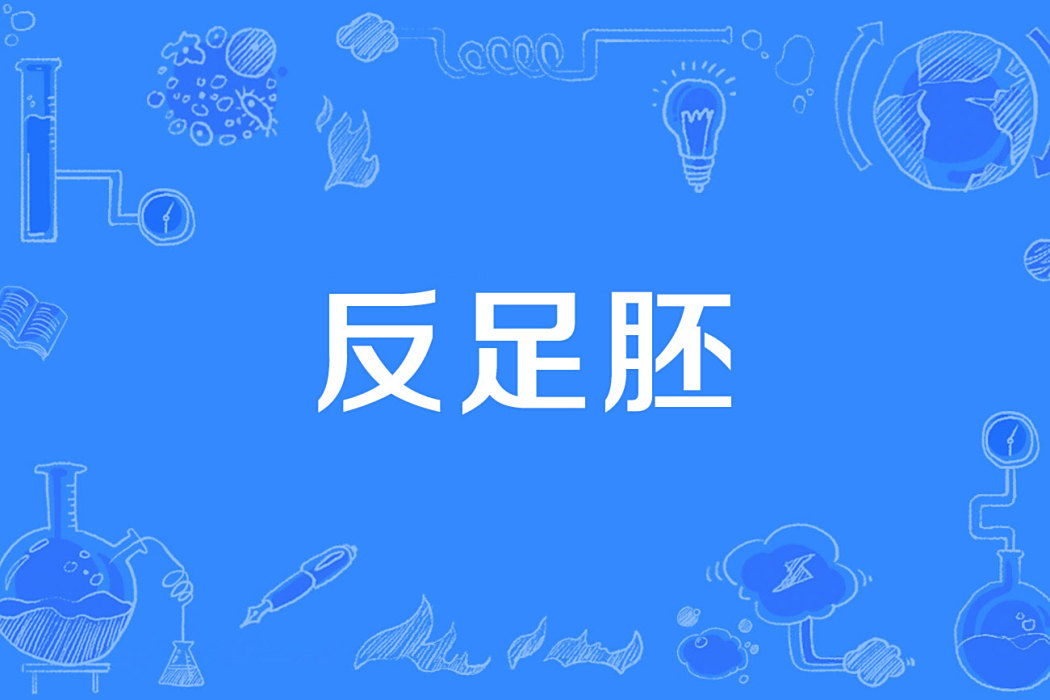 反足胚 反足胚
