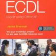 Practical Exercises for ECDL Expert Using Office XP
