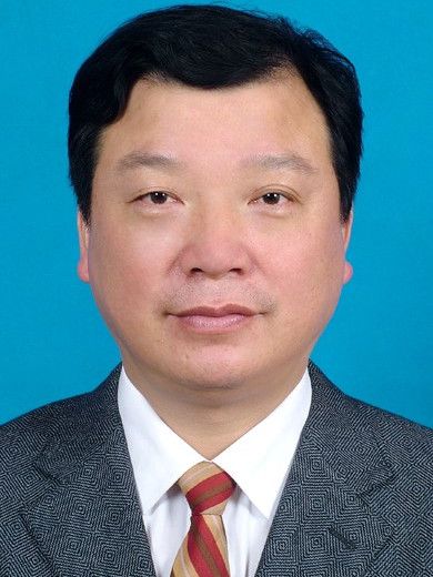 姜威(中南財經政法大學信息與安全工程學院教授) 姜威(中南財經政法大學信息與安全工程學院教授)