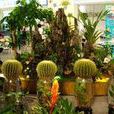 花卉樂園 花卉樂園