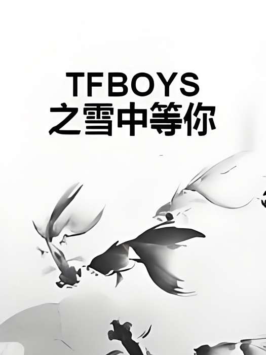 TFBOYS之雪中等你 TFBOYS之雪中等你