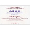 典藏重慶2 典藏重慶2