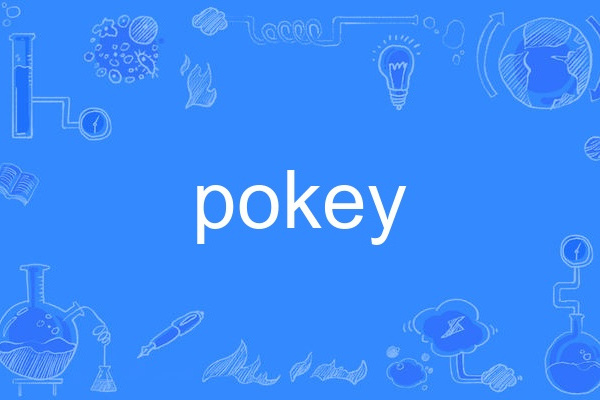 pokey pokey