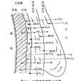 生物膜法