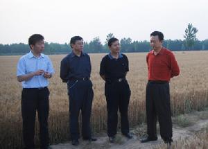 中國鄉村農業經濟