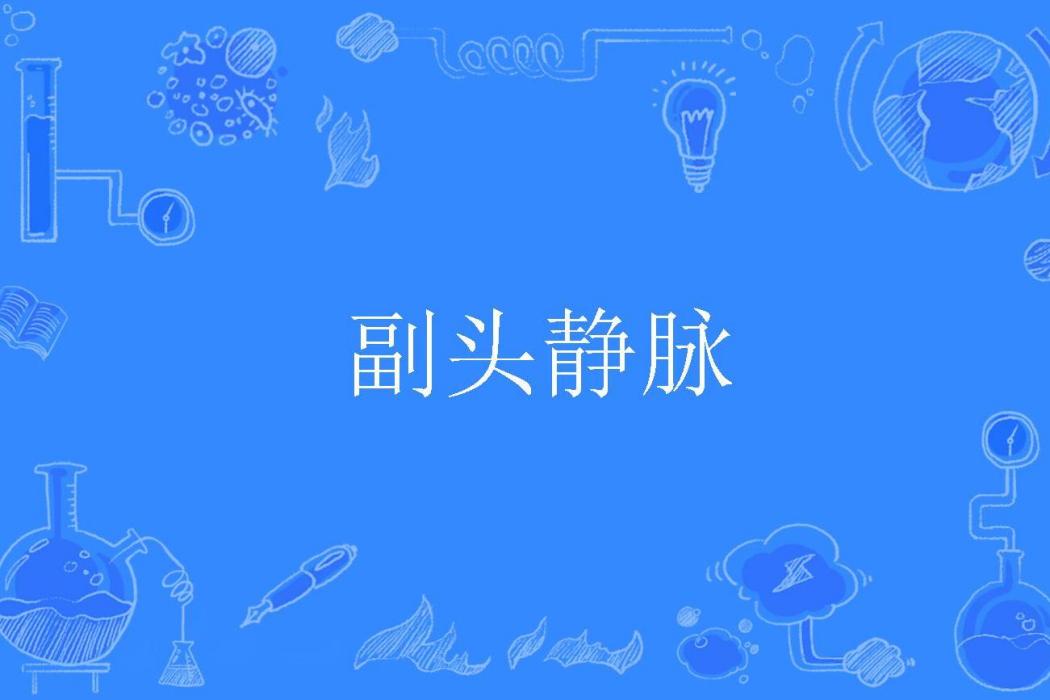 副頭靜脈 副頭靜脈
