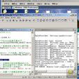 Windows核心編程 Windows核心編程
