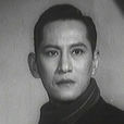 蝙蝠大盜