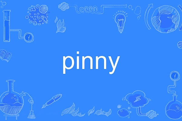 pinny pinny