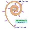 共鳴學說 共鳴學說