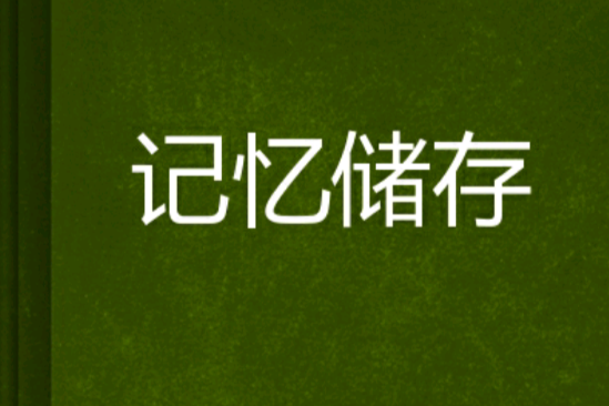 記憶儲存 記憶儲存