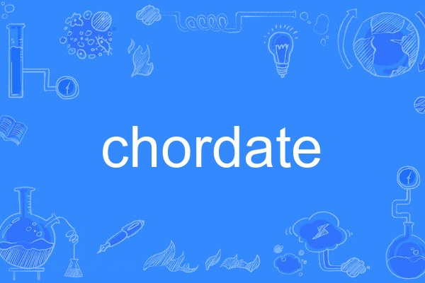 chordate chordate