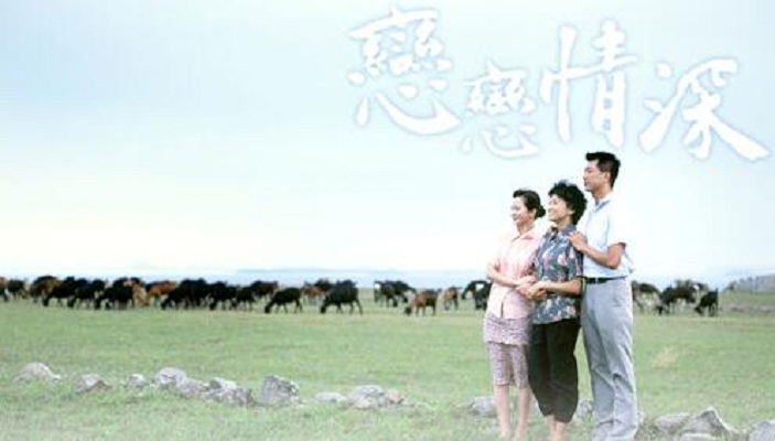 戀戀情深(2011年陳家俊導演台灣電視劇)