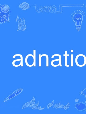 adnation adnation