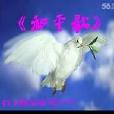 和平歌(1972年創作歌曲)
