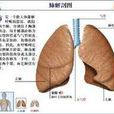 異物性肺炎 異物性肺炎