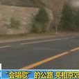歌唱祖國(北京首條音樂公路) 歌唱祖國(北京首條音樂公路)