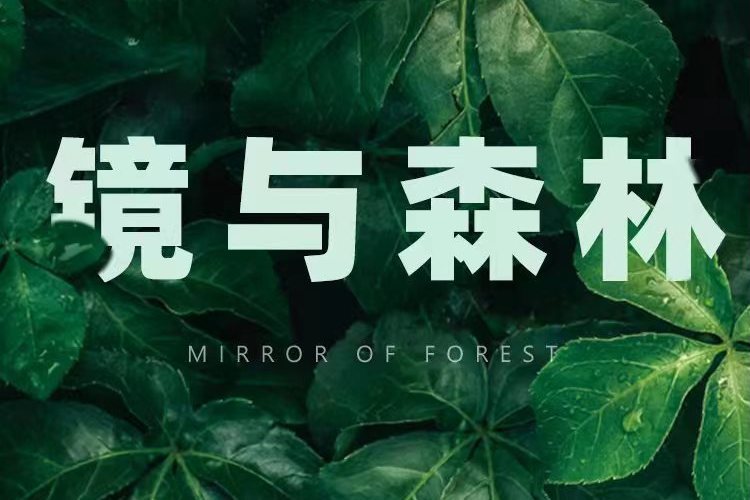 鏡與森林 鏡與森林