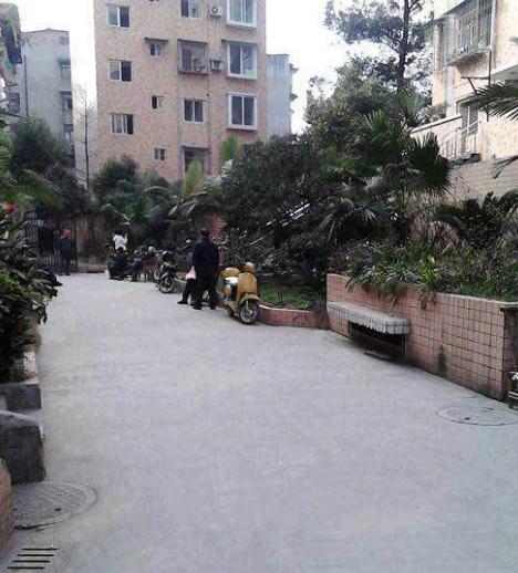 佳興花園(樂山市泰發房地產開發公司開發的樓盤) 佳興花園(樂山市泰發房地產開發公司開發的樓盤)
