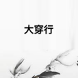 大穿行 大穿行