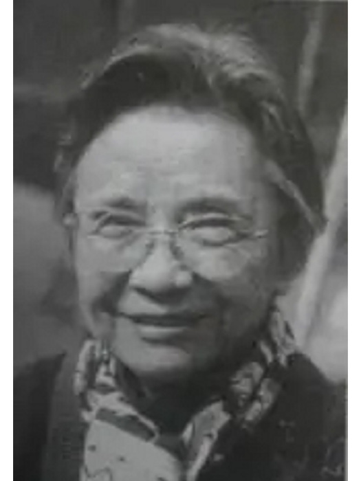包慧 包慧