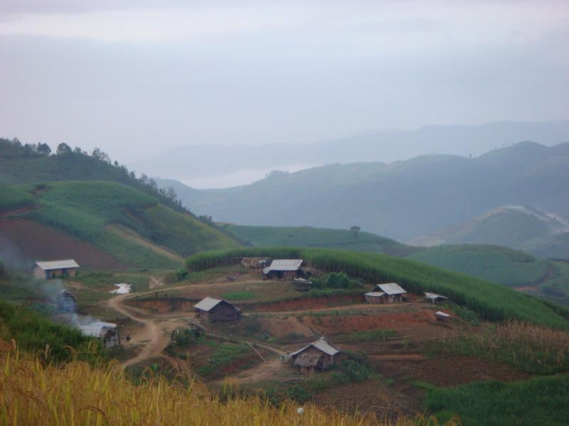老五組村 老五組村