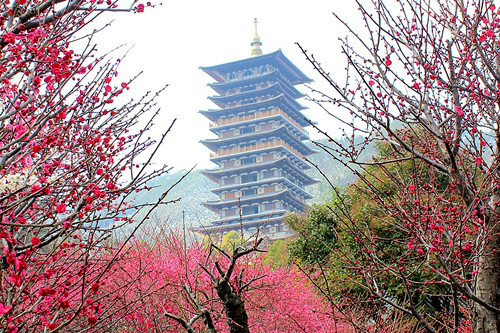 根宮佛塔 根宮佛塔
