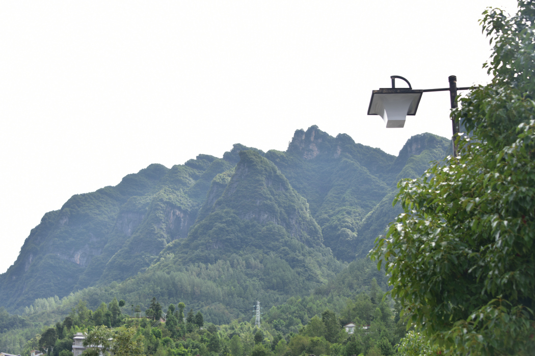 九龍山峰叢 九龍山峰叢