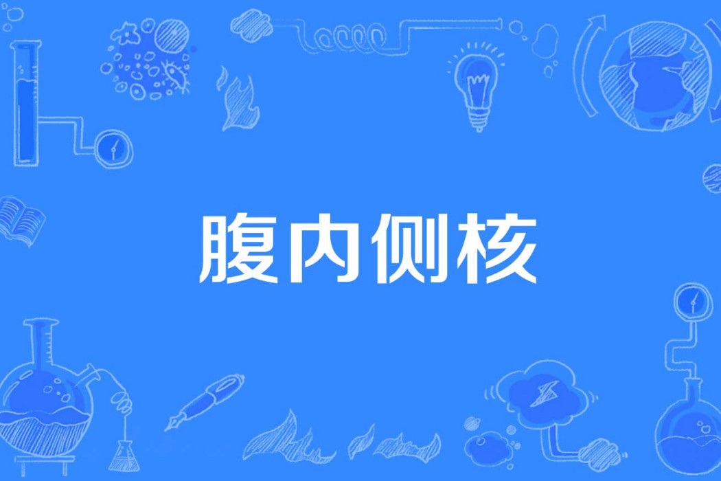 腹內側核 腹內側核