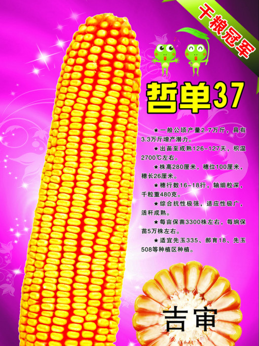 哲單37號 哲單37號