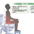 排便 排便