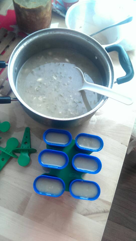 自製涼爽綠豆冰棍，