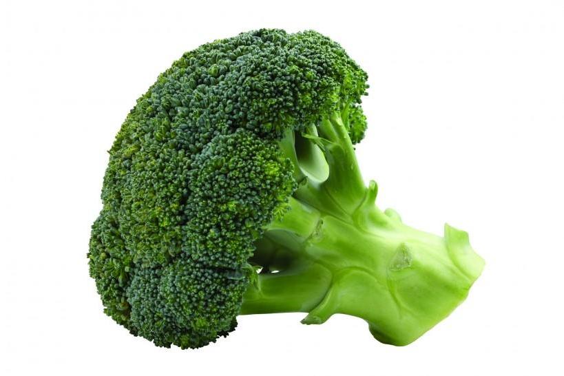 世紀新妃 世紀新妃