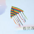 看靈魂在飛 看靈魂在飛
