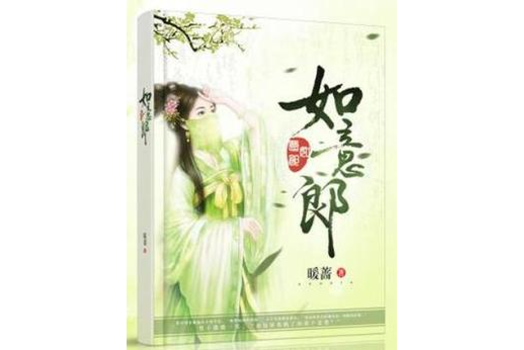 如意郎(暖薔所著小說)