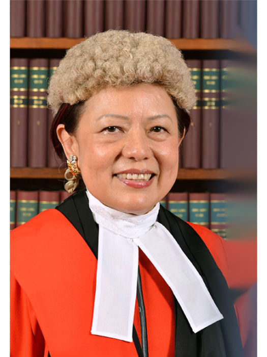 杜麗冰(中國香港高等法院原訟庭法官) 杜麗冰(中國香港高等法院原訟庭法官)