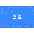 官宣(網路流行語) 官宣(網路流行語)