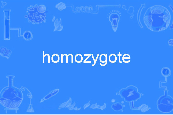 homozygote homozygote