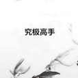 究極高手 究極高手
