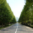 北59線