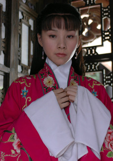 雙鳳樓(暗戰雙鳳樓)