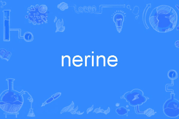 nerine nerine