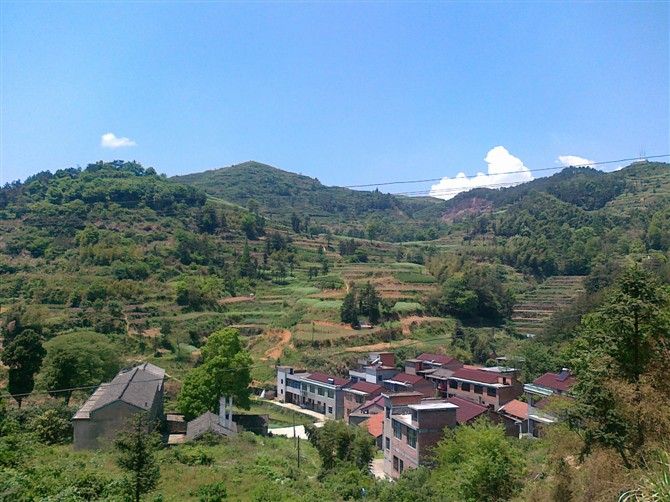 奓彎村 奓彎村