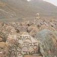 古代象雄遺址 古代象雄遺址