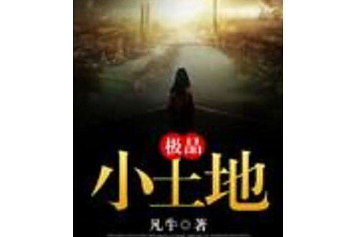 極品小土地 極品小土地