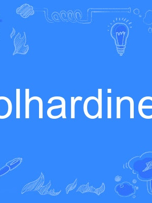 foolhardiness foolhardiness